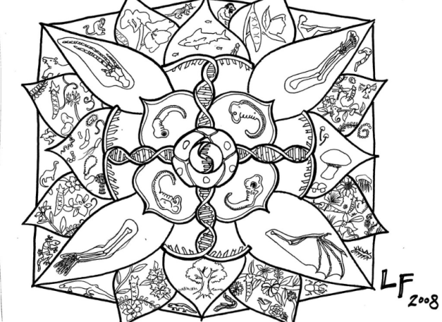 Mandala BW.png