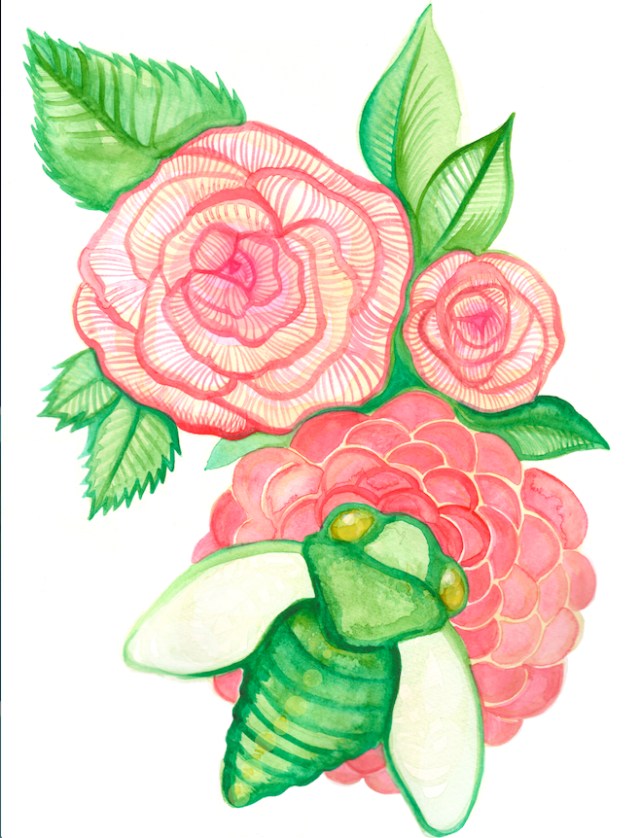 Screen Shot 2016-05-25 at 6.21.08 PM.jpg